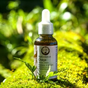 Chaga