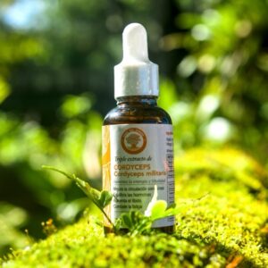 Cordyceps